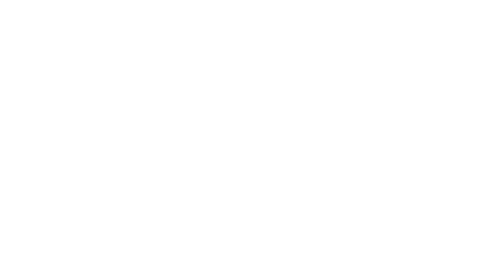 tan-consulting